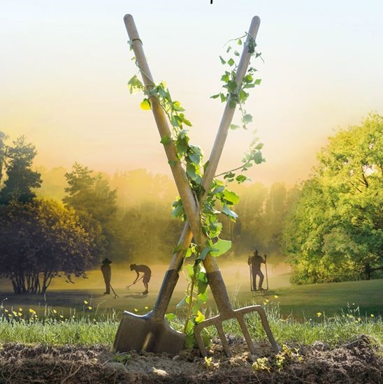 CINE-RENCONTRE L'éveil de la permaculture CINE-RENCONTRE L'éveil de la permaculture