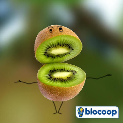 Le kiwi : le fruit vert de l'hiver Le kiwi : le fruit vert de l'hiver
