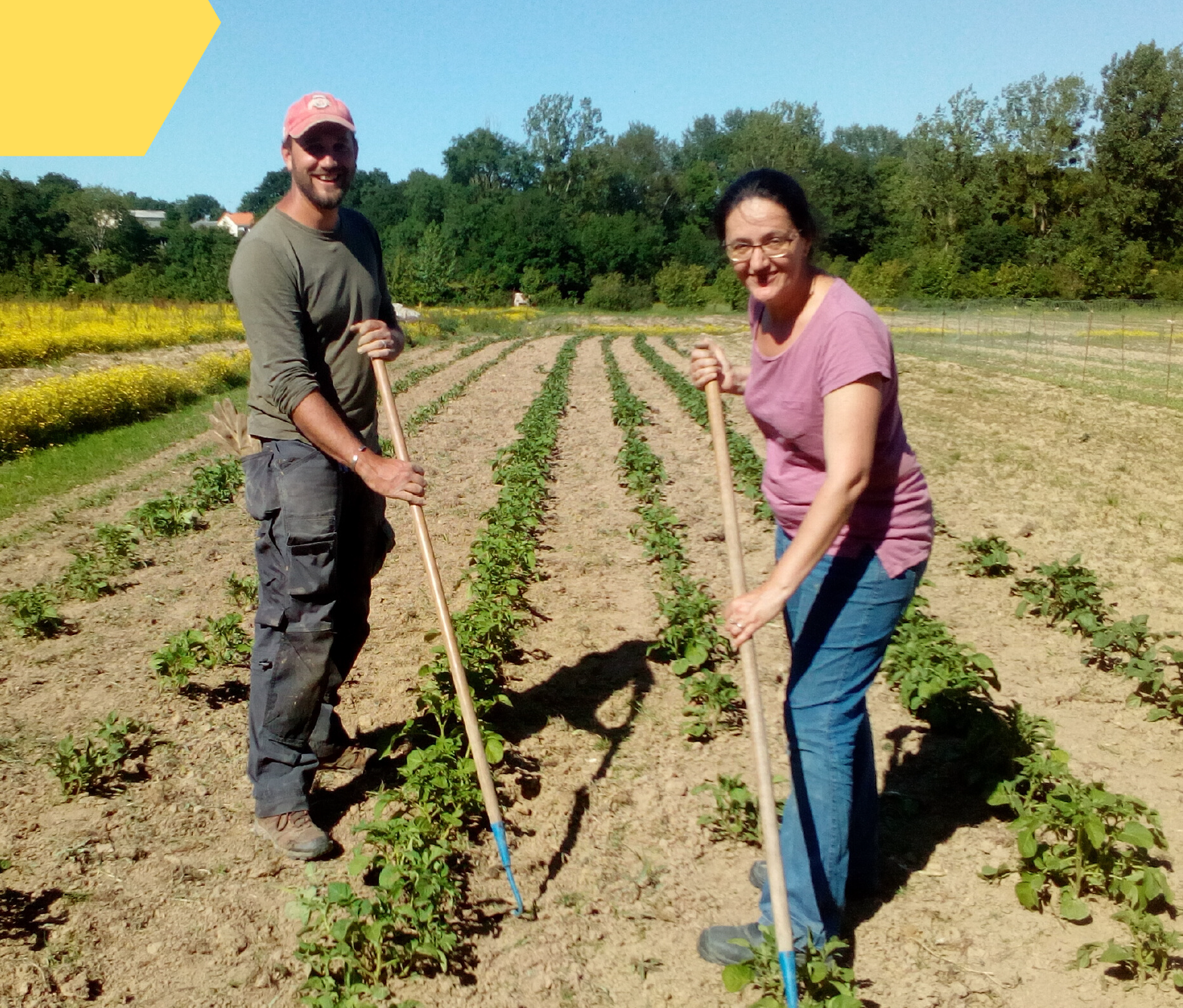 Soutenons Anne-Claire et Vincent, nouveaux maraîchers bio à la Séguinière Soutenons Anne-Claire et Vincent, nouveaux maraîchers bio à la Séguinière