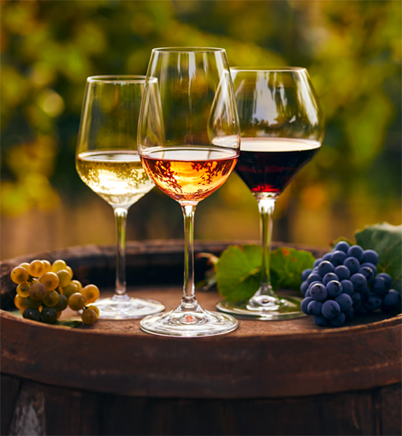 Foire aux vins et fromages bio d'automne !