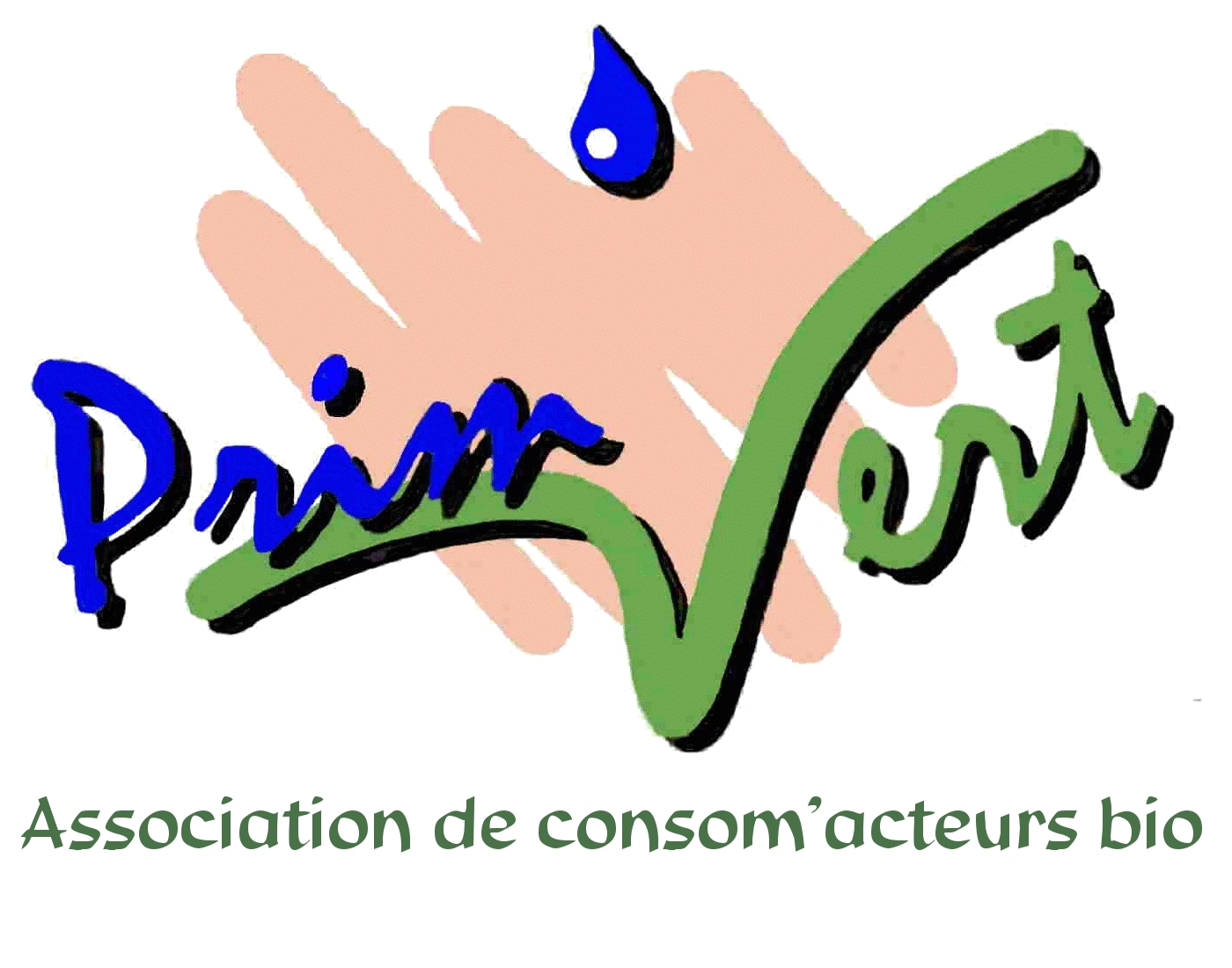 Dissolution de l'association Prim'Vert Dissolution de l'association Prim'Vert