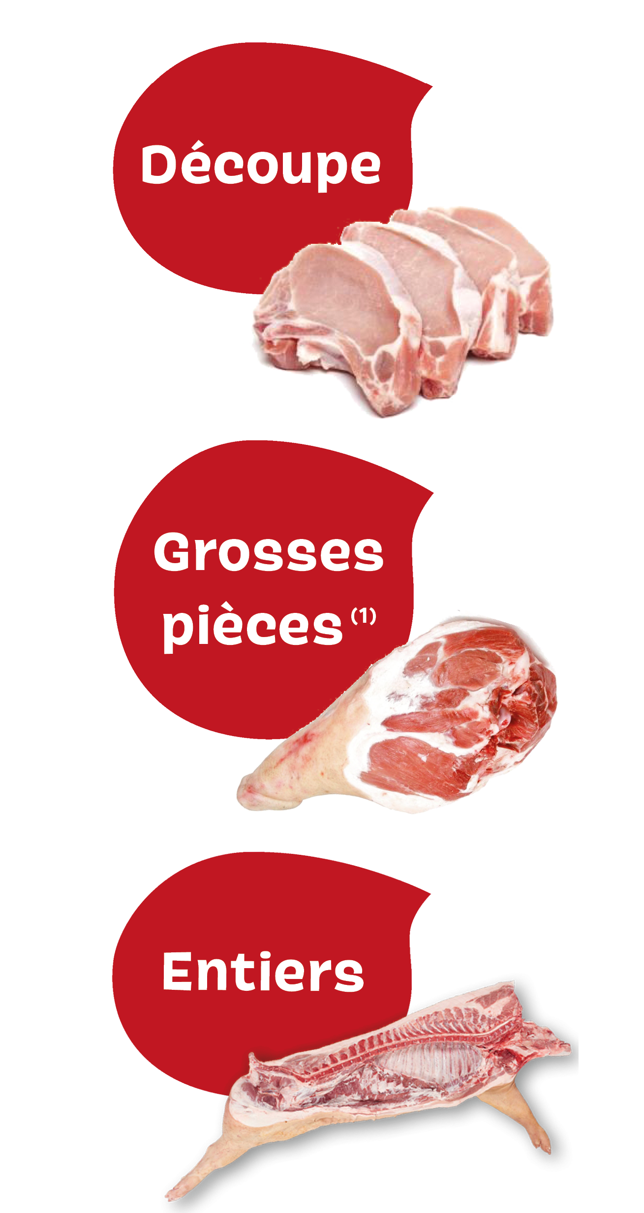 Viande de porc - Tarif de gros Viande de porc - Tarif de gros