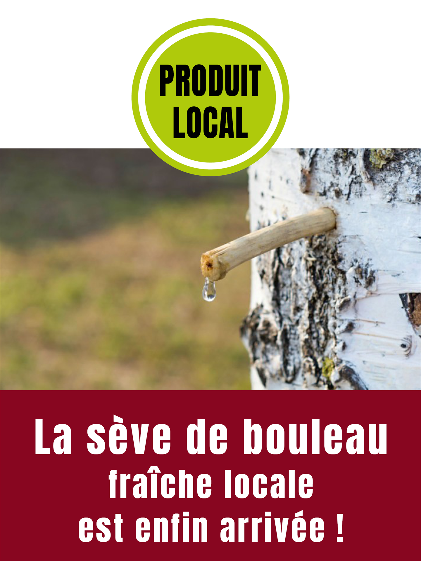 La sève de bouleau fraîche est enfin arrivée ! La sève de bouleau fraîche est enfin arrivée !