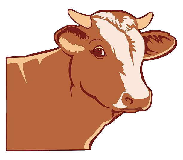 De la viande de boeuf en caissettes de 5 et 10 Kg avec 15% de remise De la viande de boeuf en caissettes de 5 et 10 Kg avec 15% de remise