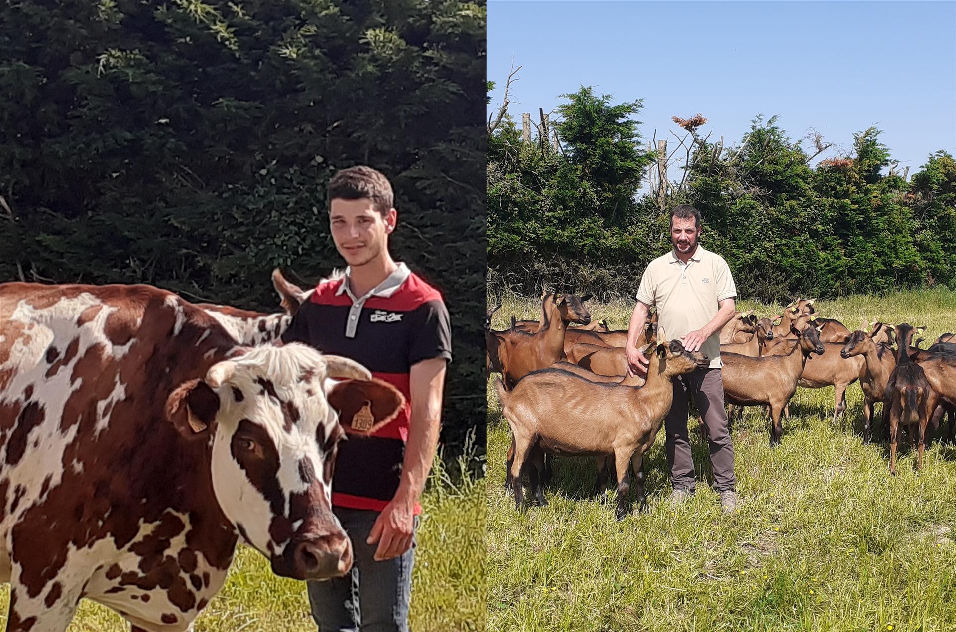 Dégustation des produits locaux de la Ferme de Liègue