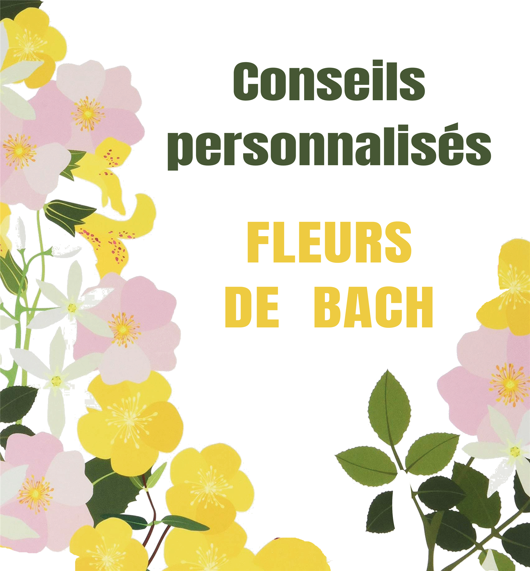 Conseils personnalisés en Fleurs de Bach sur rendez-vous Conseils personnalisés en Fleurs de Bach sur rendez-vous