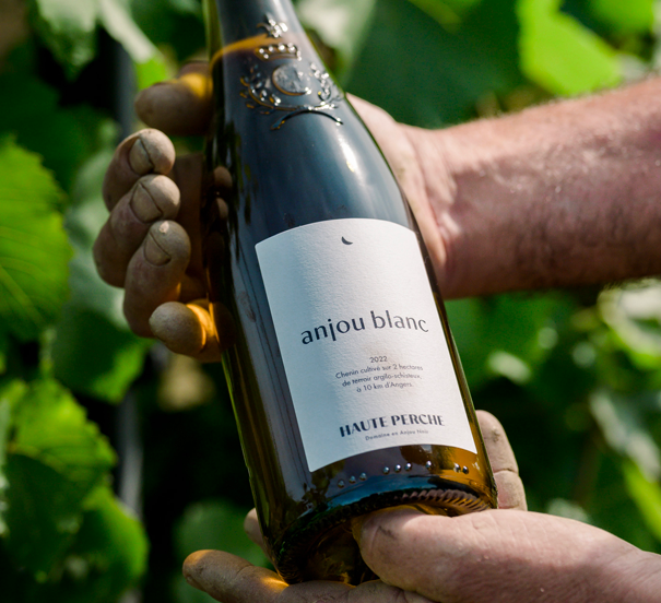Dégustation des vins du Domaine de Haute-Perche (Aubance)