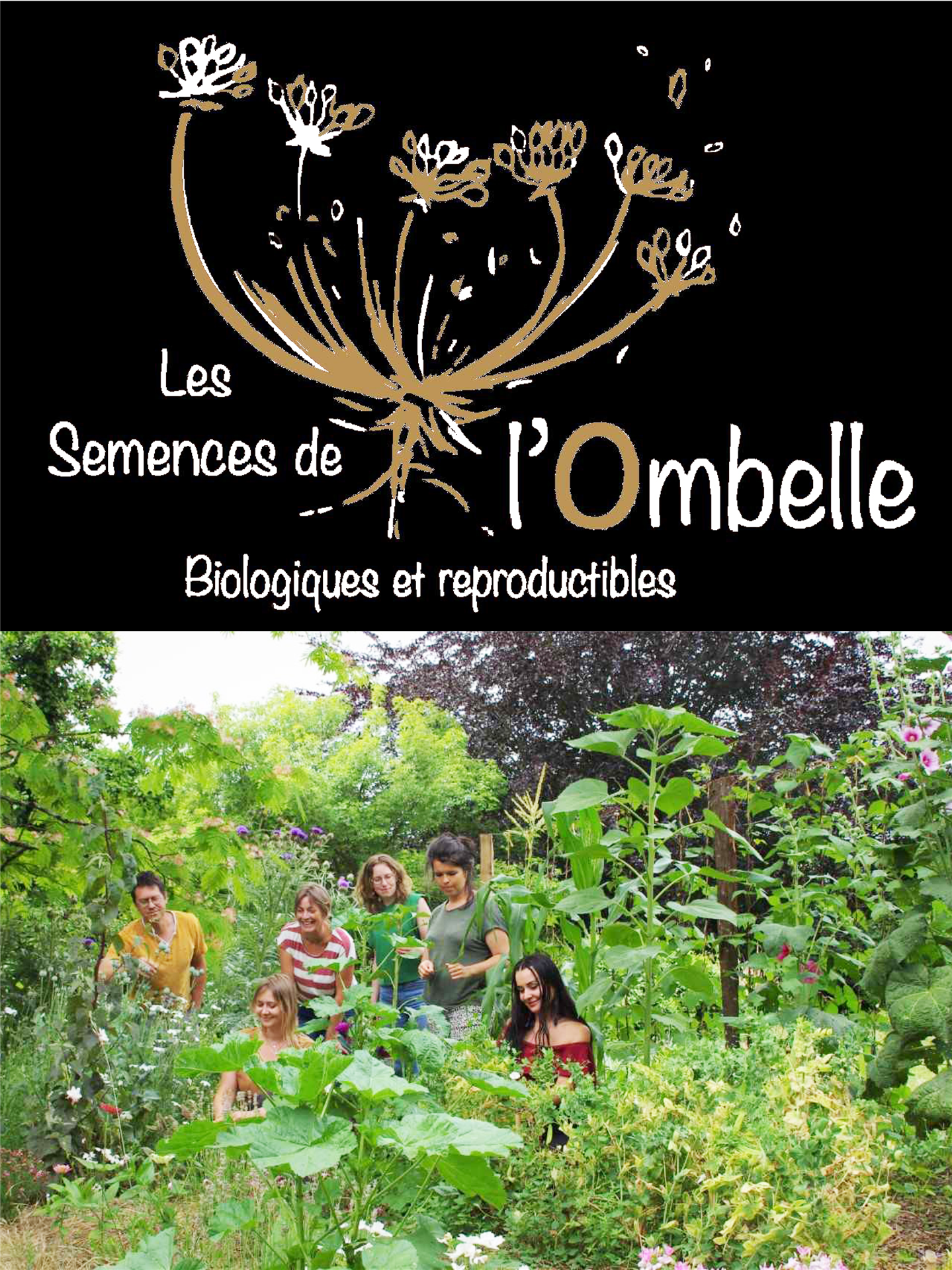 Animation graines et semences potagères et florales locales Animation graines et semences potagères et florales locales