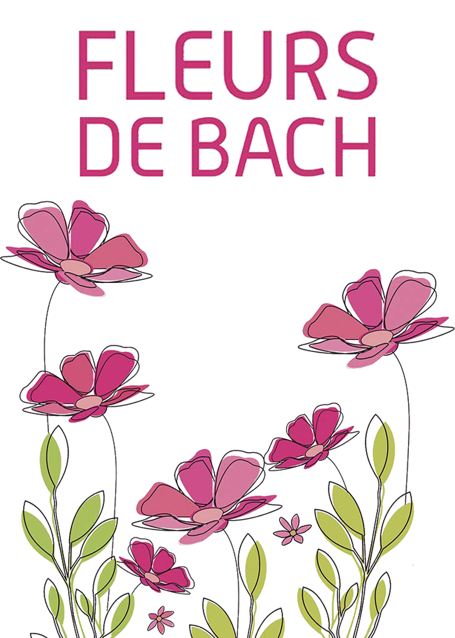 Animation Fleurs de Bach avec Hélène Fortier, formée au Centre Bach