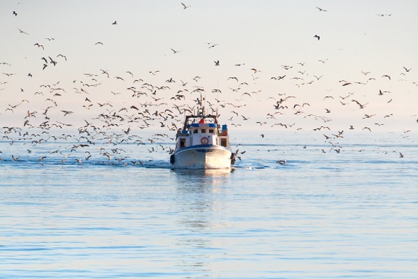Pêcherie et conserverie Bonne Nature Pêcherie et conserverie Bonne Nature