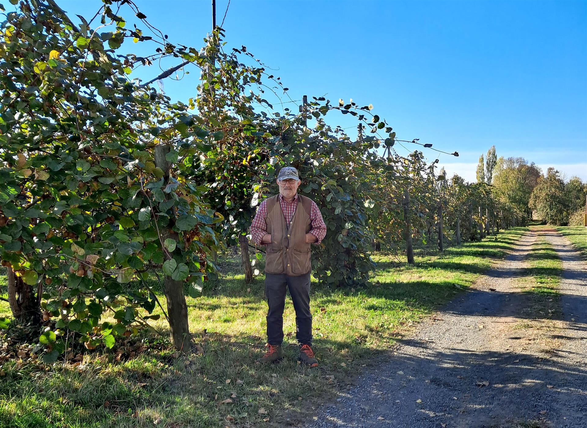 Michel Hulin et son verger de kiwis