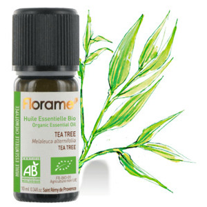 Huile essentielle de tea tree Huile essentielle de tea tree