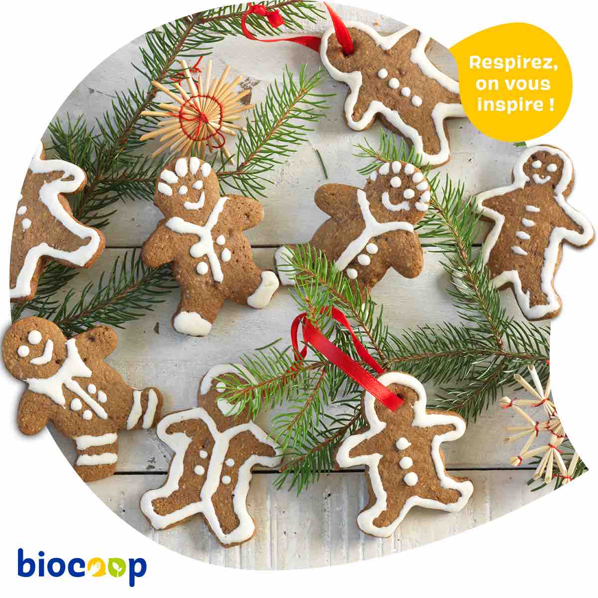 Biscuits pain d’épices sans gluten Biscuits pain d’épices sans gluten