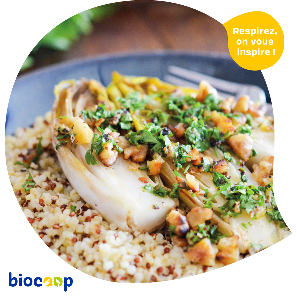Endives braisées à la gremolata de noix Endives braisées à la gremolata de noix