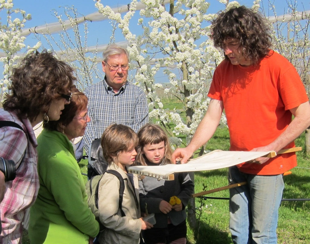 Jardin des Hespérides Jardin des Hespérides