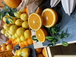 23-image0.webp
