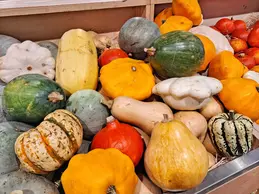 courges-bio-3-legumes-bio-magasin-bio-biocoop-c.webp