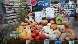 courges-bio-legumes-bio-magasin-bio-biocoop-sevremoine.webp