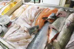 poissons-bio-poissonnerie-bio-magasin-bio-biocoop-cholet-sud-1.webp