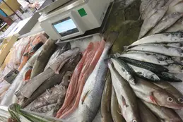 poissons-bio-poissonnerie-bio-magasin-bio-biocoop-cholet-sud-2.webp
