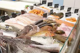 poissons-bio-poissonnerie-bio-magasin-bio-biocoop-cholet-sud.webp