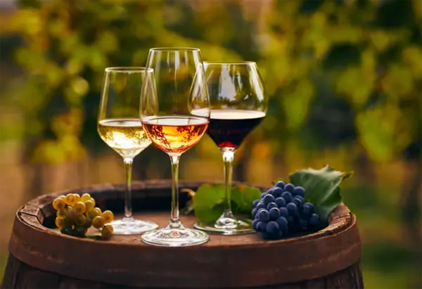 Dégustations de vins bio au magasin Biocoop Cholet Sud. Dégustations de vins bio au magasin Biocoop Cholet Sud.