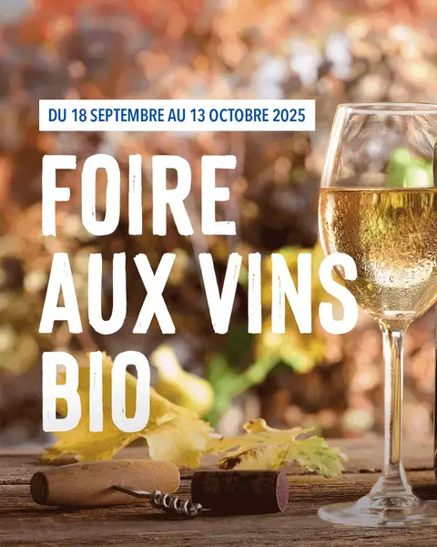 Foire aux vins bio d’automne