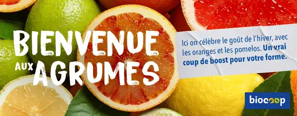 Bienvenue aux agrumes : oranges et pomelos de Corse ! Bienvenue aux agrumes : oranges et pomelos de Corse !