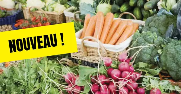Des légumes frais et locaux dès le lundi matin à l'ouverture