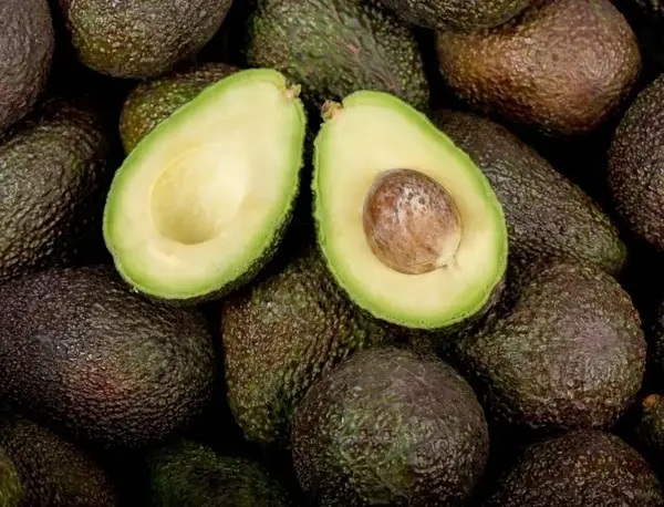 Du Kenya, oui ! La nouvelle origine bio et équitable des avocats de Biocoop.
