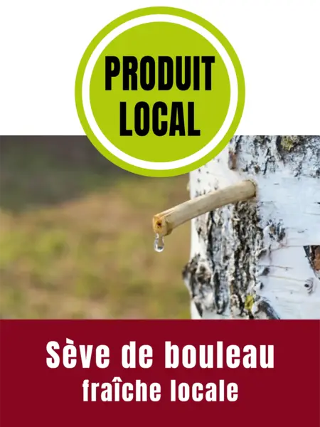 La sève de bouleau fraîche arrive fin février !